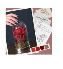 HAVAYLA KURUYAN MODELLEME HAMURU KIRMIZI