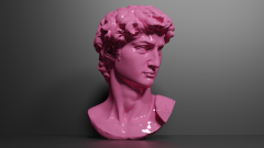 Vernikli Lake Boya L014 FUŞYA