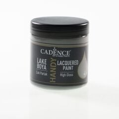 Vernikli Lake Boya L057 KOYU GRİ