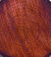 Colouron Renkli Vernik CV-05 BORDO